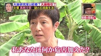 ついに大麻使用を供述！元女優・高樹沙耶容疑者の沖縄での奇行と