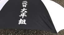 小説「忘れな草」最終章　第47話 沖田臥竜